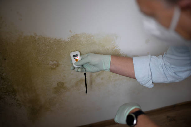 Best Bathroom Mold Remediation in Bull Run Mountain Estates, VA