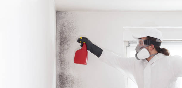 Best Insurance-Related Mold Remediation in Bull Run Mountain Estates, VA