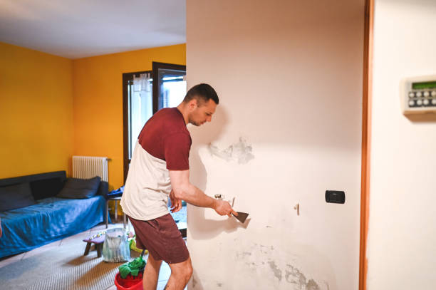 Best Emergency Mold Remediation in Bull Run Mountain Estates, VA