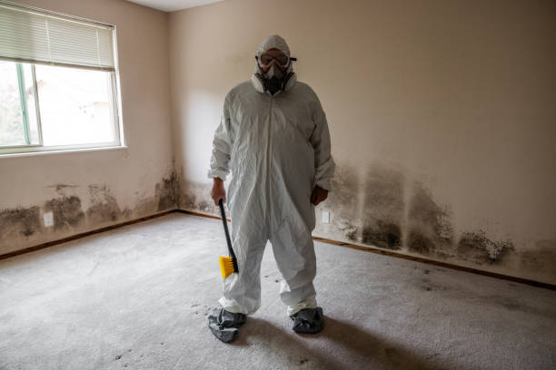 Best Crawl Space Mold Remediation in Bull Run Mountain Estates, VA